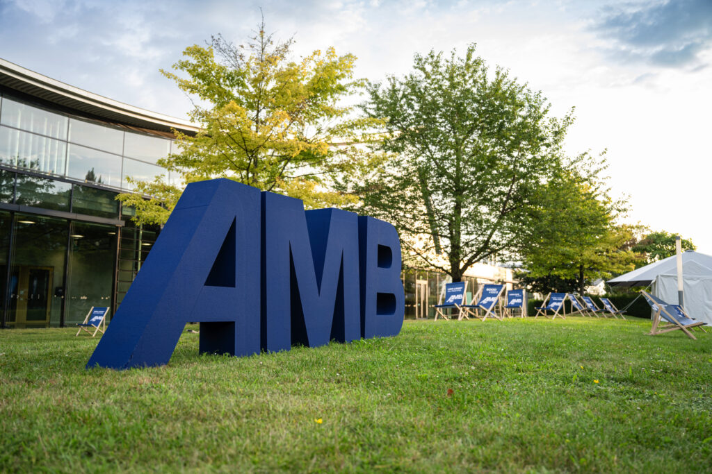 AMB 24 3934
